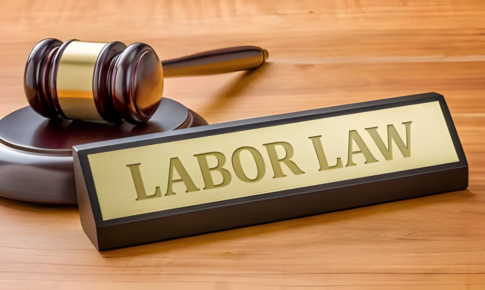 Labor law 2024